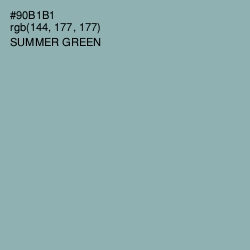#90B1B1 - Summer Green Color Image